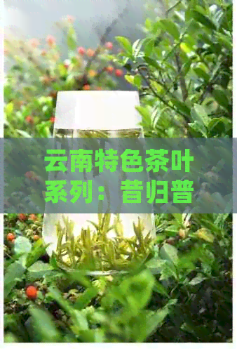 云南特色茶叶系列：昔归普洱茶，古树与生茶的完美融合