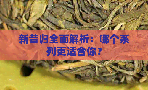 新昔归全面解析：哪个系列更适合你？