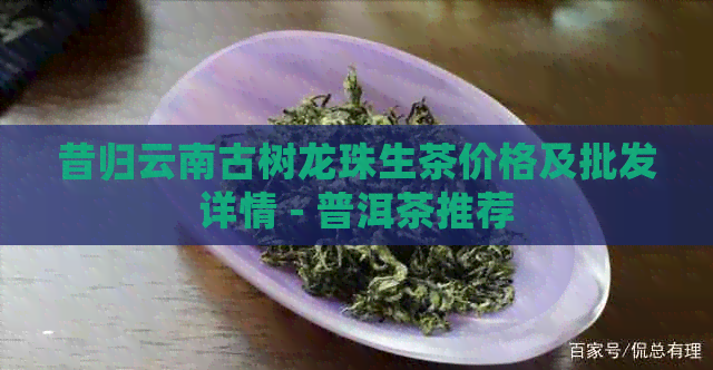 昔归云南古树龙珠生茶价格及批发详情 - 普洱茶推荐