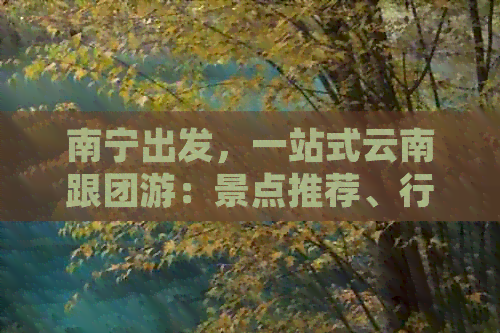 南宁出发，一站式云南跟团游：景点推荐、行程规划、住宿及交通全解析