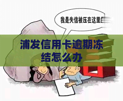 浦发信用卡逾期冻结怎么办