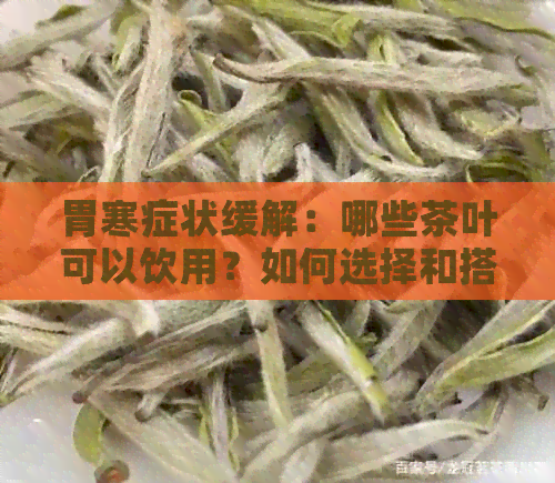 胃寒症状缓解：哪些茶叶可以饮用？如何选择和搭配茶叶以达到效果？