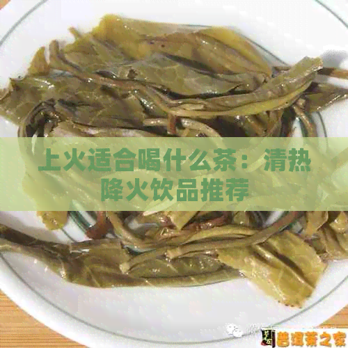 上火适合喝什么茶：清热降火饮品推荐