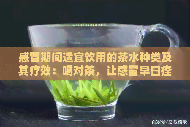 感冒期间适宜饮用的茶水种类及其疗效：喝对茶，让感冒早日痊愈！