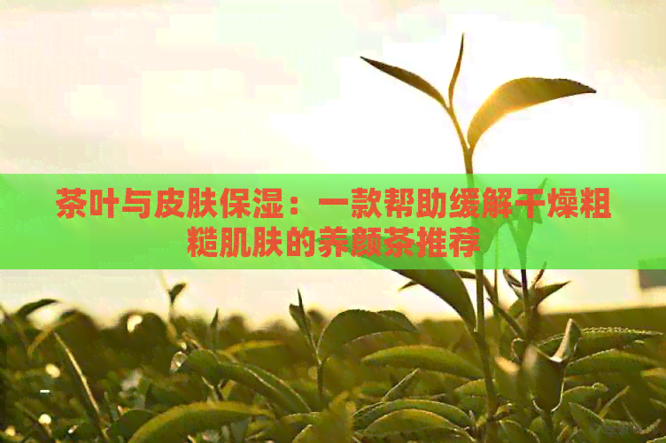 茶叶与皮肤保湿：一款帮助缓解干燥粗糙肌肤的养颜茶推荐