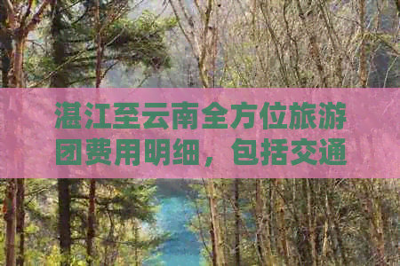 湛江至云南全方位旅游团费用明细，包括交通、住宿和景点门票等详细信息