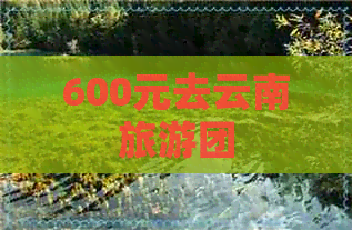 600元去云南旅游团