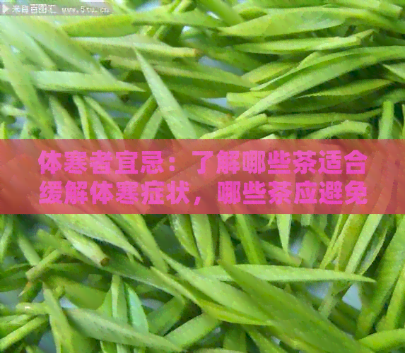 体寒者宜忌：了解哪些茶适合缓解体寒症状，哪些茶应避免饮用