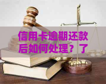 信用卡逾期还款后如何处理？了解全面解决方案和补救措