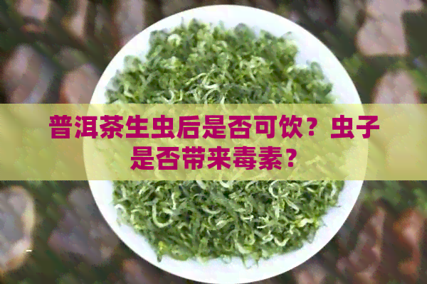 普洱茶生虫后是否可饮？虫子是否带来素？