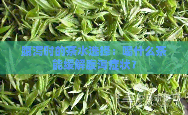 腹泻时的茶水选择：喝什么茶能缓解腹泻症状？