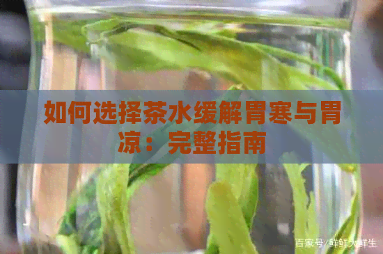 如何选择茶水缓解胃寒与胃凉：完整指南