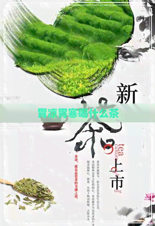 胃凉胃寒喝什么茶