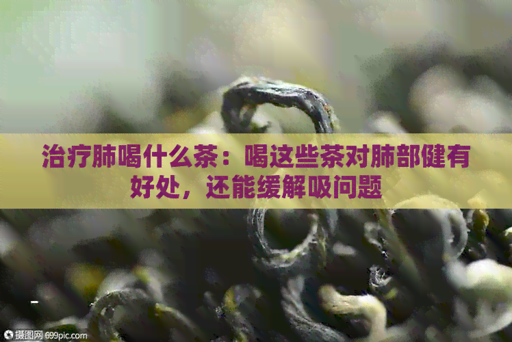 治疗肺喝什么茶：喝这些茶对肺部健有好处，还能缓解吸问题