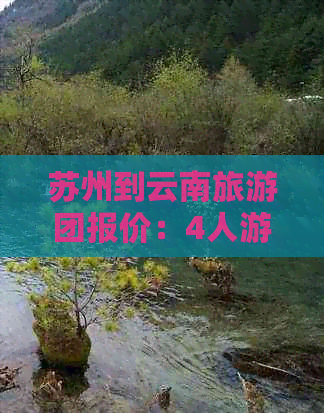 苏州到云南旅游团报价：4人游，查询及价格详情