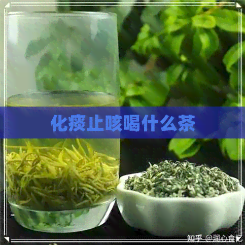 化痰止咳喝什么茶