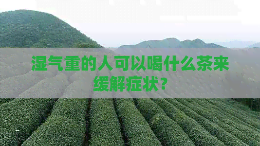 湿气重的人可以喝什么茶来缓解症状？