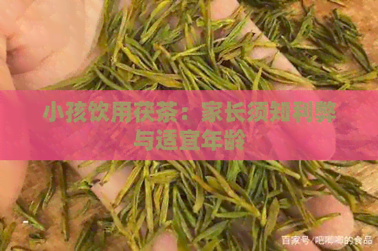 小孩饮用茯茶：家长须知利弊与适宜年龄