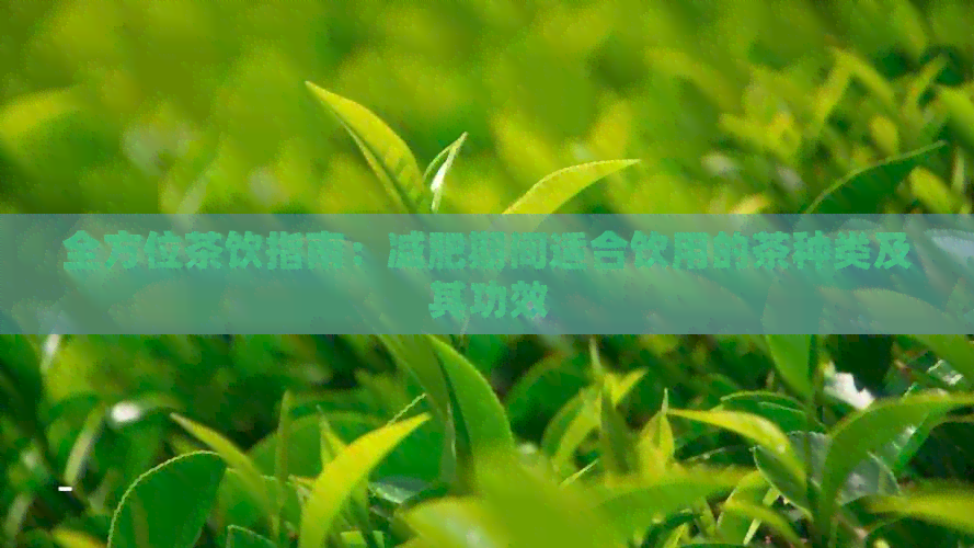 全方位茶饮指南：减肥期间适合饮用的茶种类及其功效