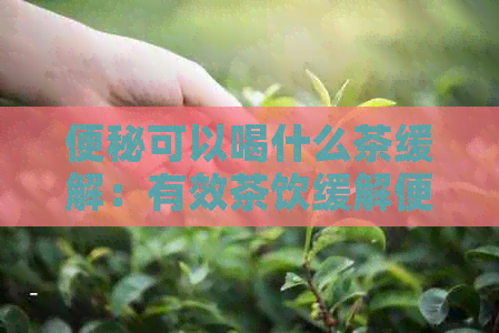 便秘可以喝什么茶缓解：有效茶饮缓解便秘问题