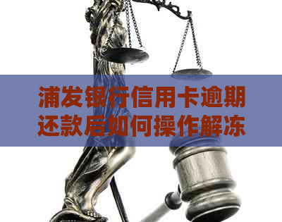 浦发银行信用卡逾期还款后如何操作解冻流程及解冻时间解析