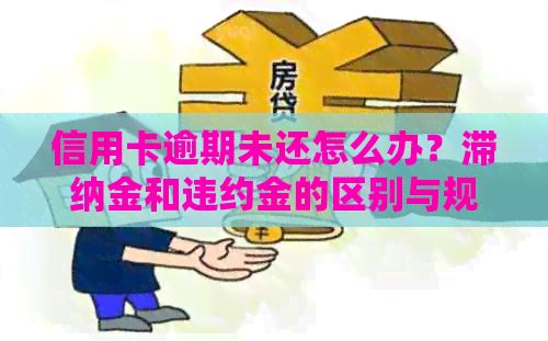 信用卡逾期未还怎么办？滞纳金和违约金的区别与规避策略