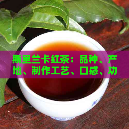斯里兰卡红茶：品种、产地、制作工艺、口感、功效与泡法详解