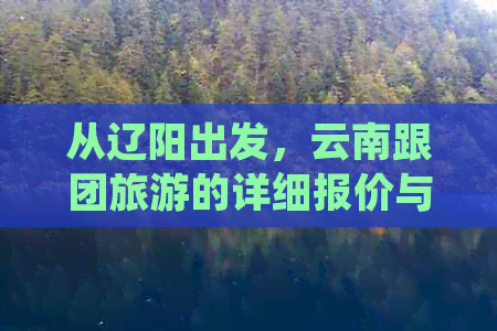 从辽阳出发，云南跟团旅游的详细报价与行程安排，一站式解决您的旅行需求