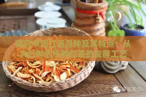 探究中国红茶品种及其特点：从大叶种到小种红茶的发酵工艺