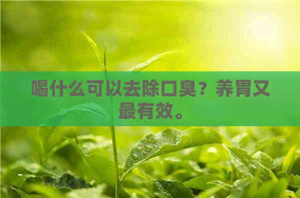 喝什么可以去除口臭？养胃又最有效。