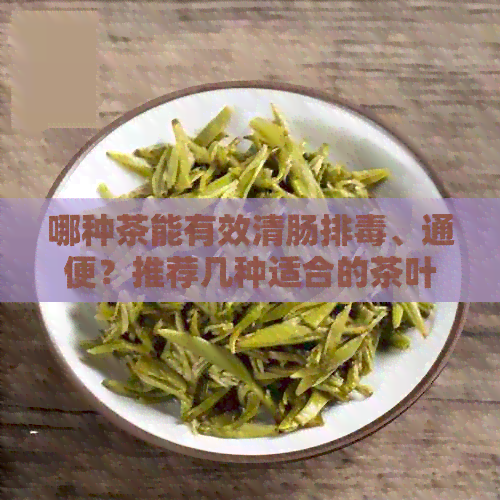 哪种茶能有效清肠排、通便？推荐几种适合的茶叶种类及饮用方法