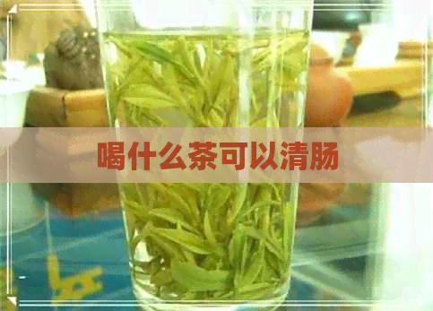 喝什么茶可以清肠