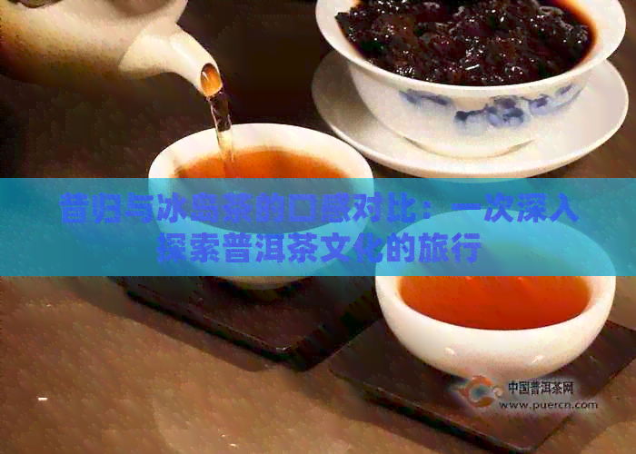 昔归与冰岛茶的口感对比：一次深入探索普洱茶文化的旅行