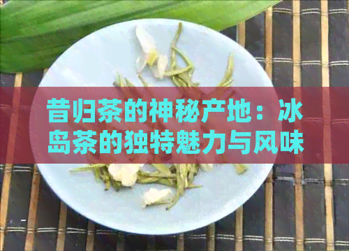 昔归茶的神秘产地：冰岛茶的独特魅力与风味探究