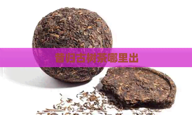 昔归古树茶哪里出