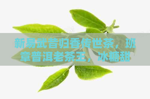 新易武昔归香传世茶，班章普洱老茶王，冰糖甜润品味长