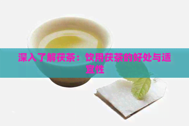 深入了解茯茶：饮用茯茶的好处与适宜性