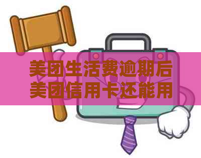 美团生活费逾期后美团信用卡还能用吗,逾期还款后还能借吗