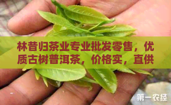 林昔归茶业专业批发零售，优质古树普洱茶，价格实，直供