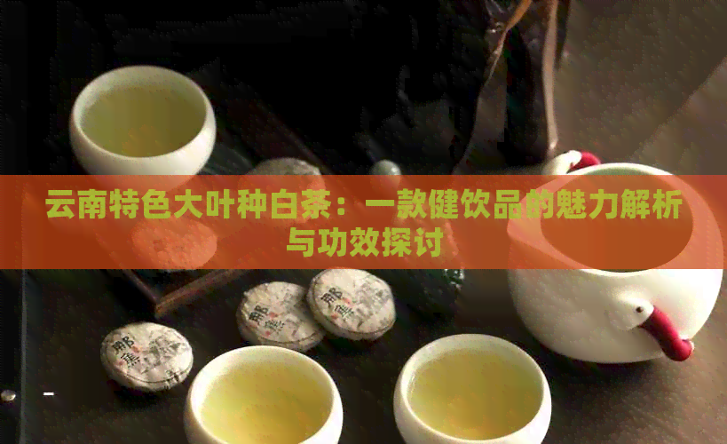 云南特色大叶种白茶：一款健饮品的魅力解析与功效探讨