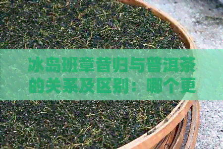 冰岛班章昔归与普洱茶的关系及区别：哪个更好？