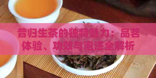 昔归生茶的独特魅力：品茗体验、功效与泡法全解析