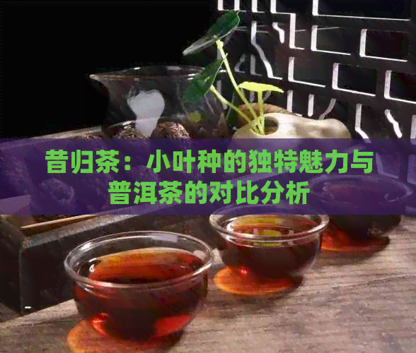 昔归茶：小叶种的独特魅力与普洱茶的对比分析