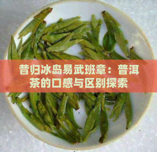 昔归冰岛易武班章：普洱茶的口感与区别探索