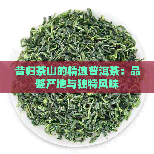 昔归茶山的精选普洱茶：品鉴产地与独特风味