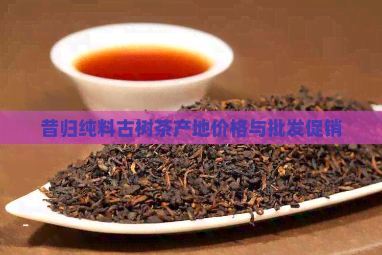 昔归纯料古树茶产地价格与批发促销