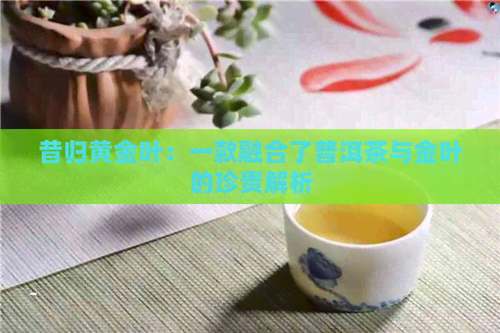 昔归黄金叶：一款融合了普洱茶与金叶的珍贵解析