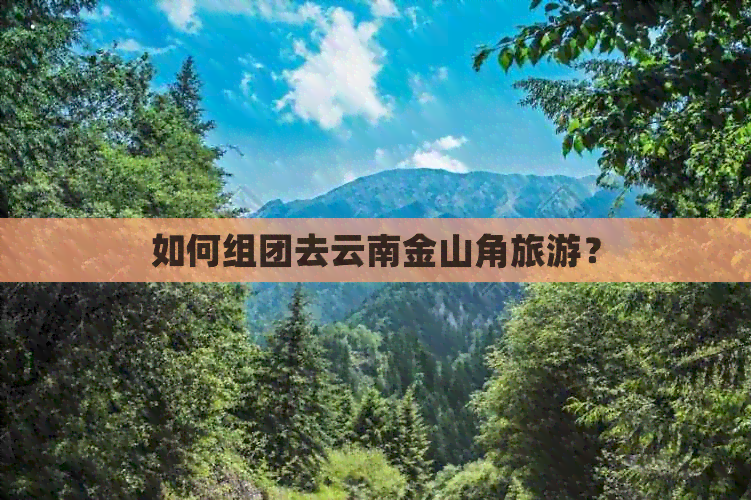 如何组团去云南金山角旅游？