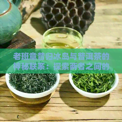 老班章昔归冰岛与普洱茶的神秘联系：探索两者之间的独特风味与制作工艺