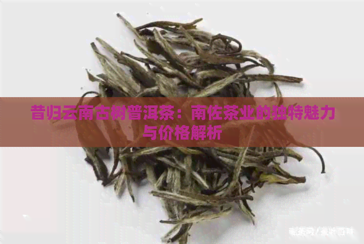 昔归云南古树普洱茶：南佐茶业的独特魅力与价格解析